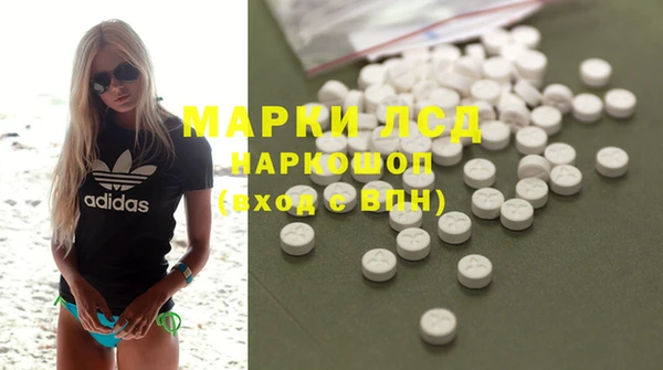 гидра Карпинск