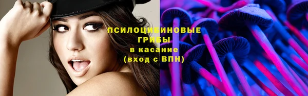 спиды Алексин