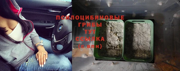 мяу мяу кристалл Елизово