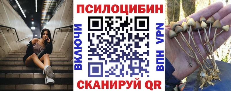 Псилоцибиновые грибы Cubensis  Абинск 